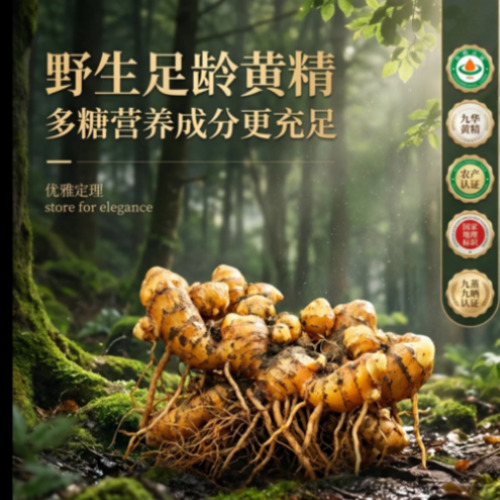 菁选灵创 AIGC 创意宣传横幅